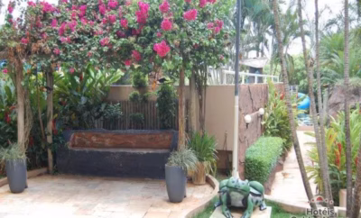 Jardim Japonês de Caldas Novas: o passeio gratuito mais charmoso da cidade